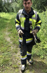 Tierischer Einsatz